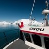 Iceberg diving in Disko Bay
