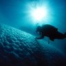 Iceberg diving in Disko Bay