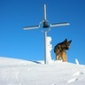 Ski package Forni di Sopra