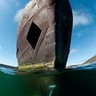 Iceberg diving in Disko Bay