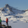 Hounds of snow on Greenland