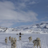 Hounds of snow on Greenland