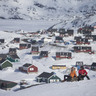 Hounds of snow on Greenland