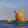 Kayak & Hike - Back to the wild